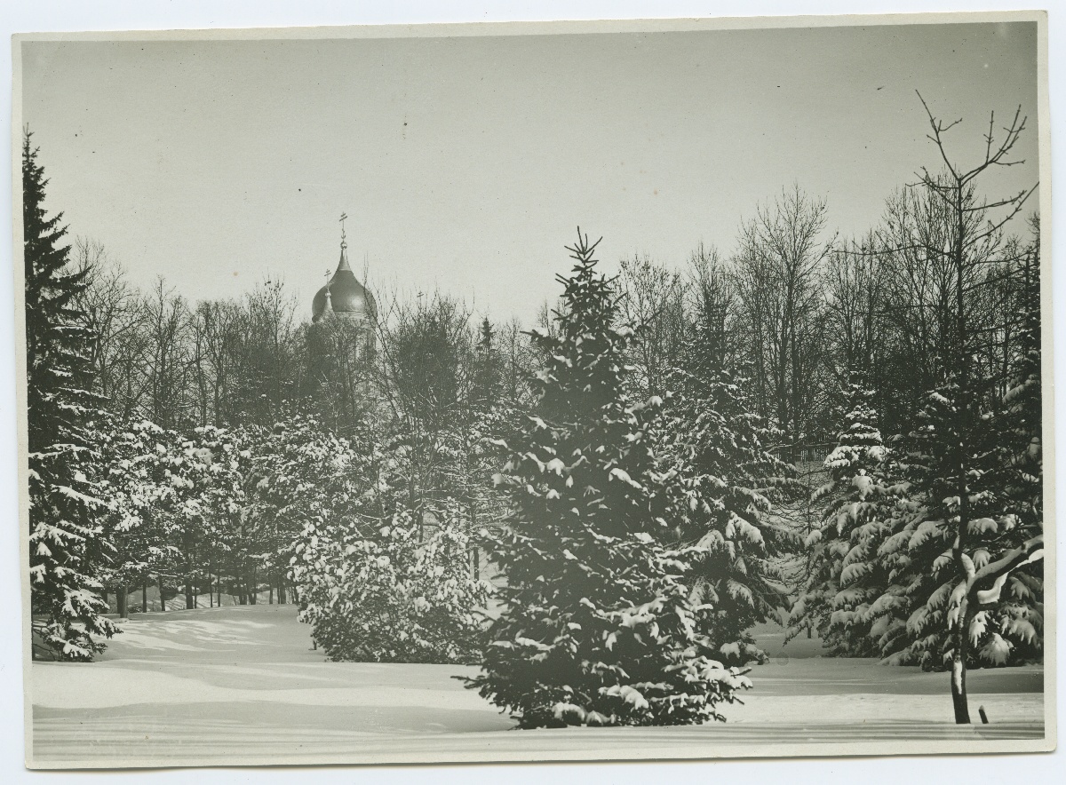 Tallinn, "Hirvepark" in winter, behind the Aleksander Nevski Cathedral.
