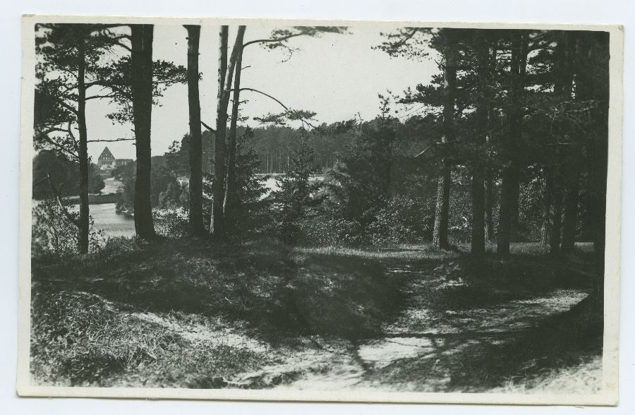 View from Kose-Lukatti to the river Pirita and the ruins of the monastery.