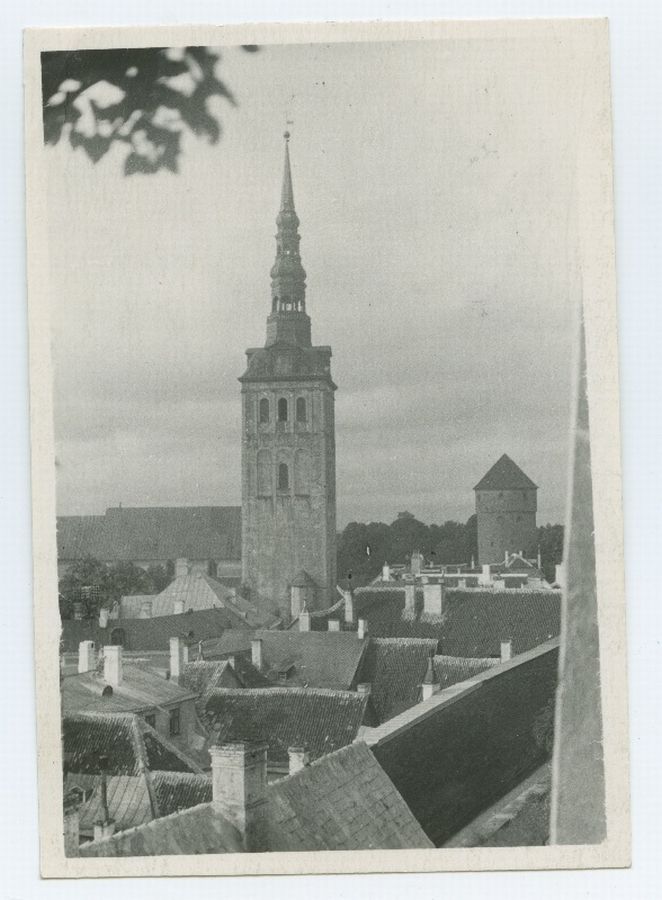 Tallinn, Niguliste kirik põhjast.