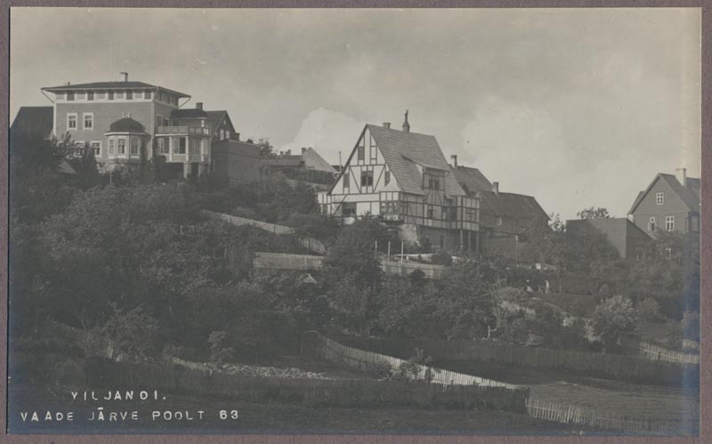 foto albumis, Viljandi, Trepimäe ümbrus, villa Sellheim ja Eichen, u 1910, foto J. Riet