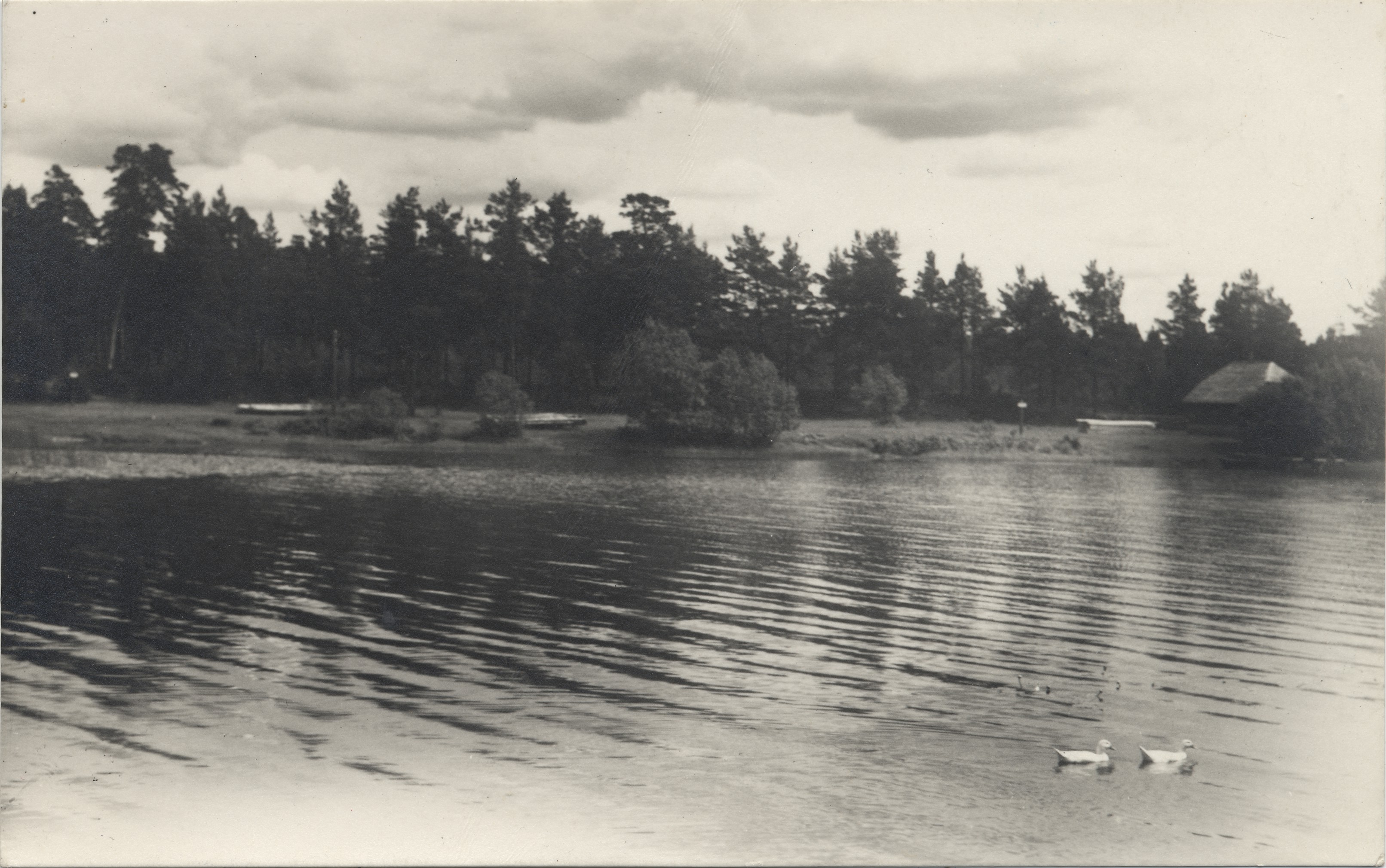 Estonia : Vaikne lake