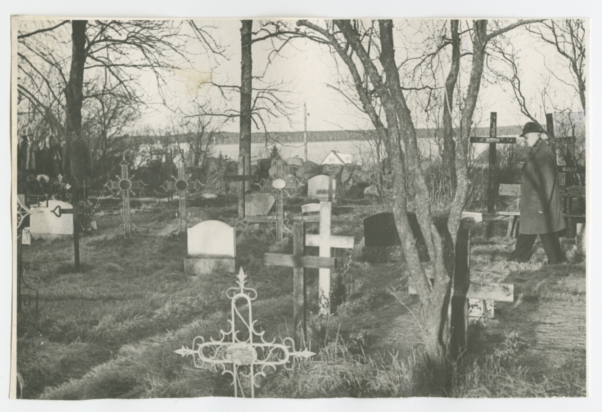 Elmar Kangur Käsmu surnuaias jalutamas