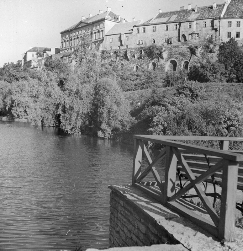 Toompea ja Snelli tiik, vaade Snelli tiigi äärest Toompea suunas