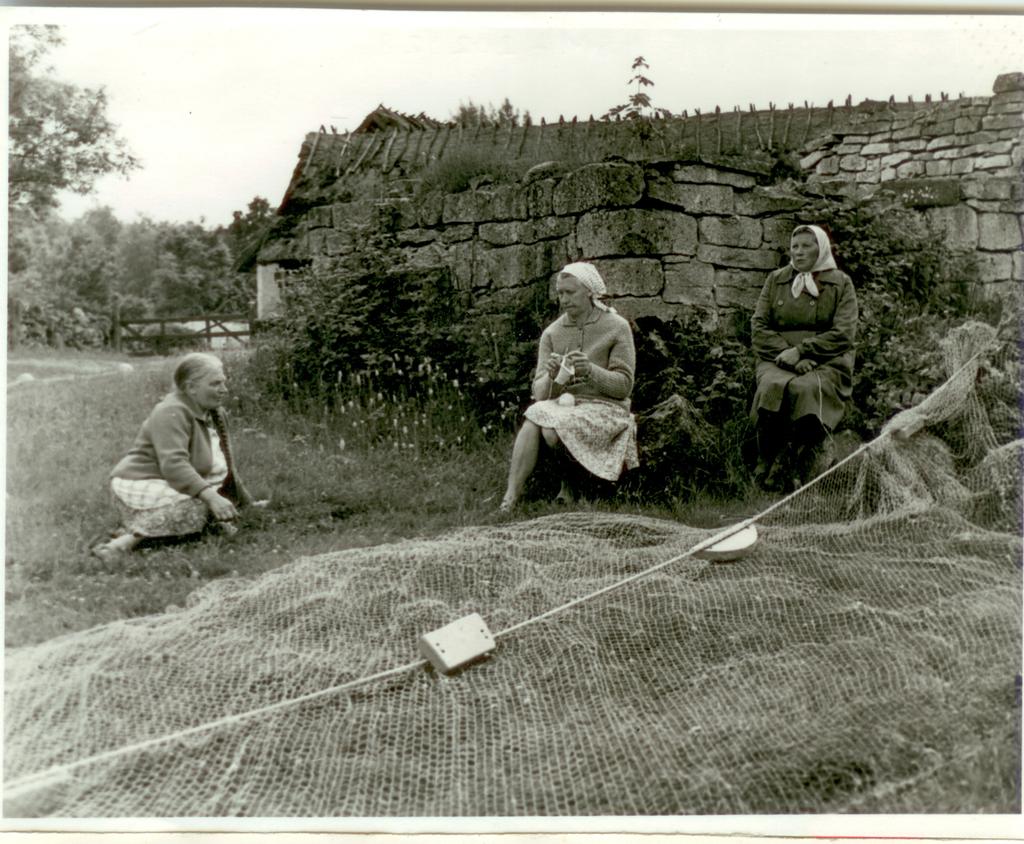 Schmuul, Linda; Toom, Elfriede; Noor, Rosalie