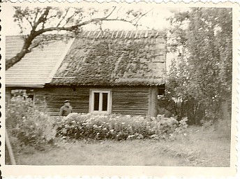 foto, Kivitiku talu Viisus 1960.a.