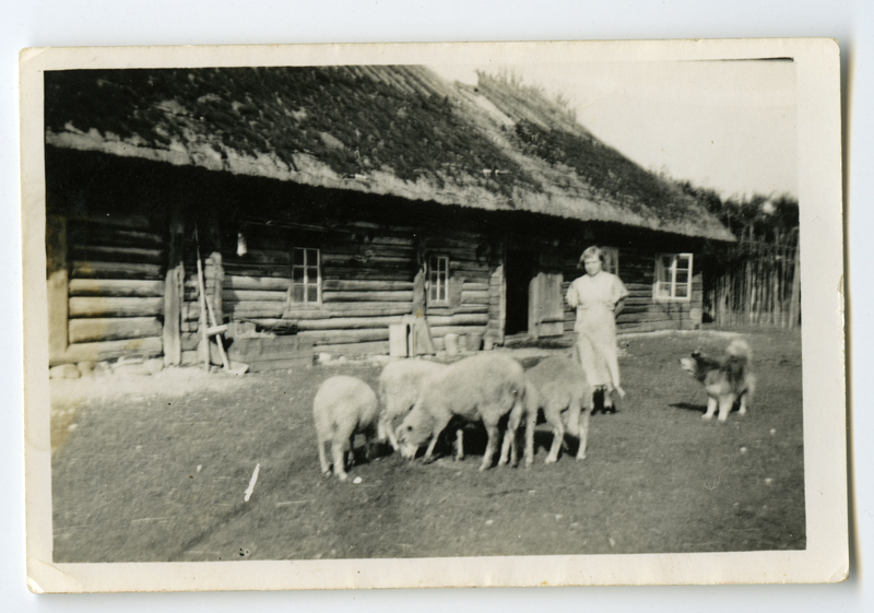 Hiiumaa taluõu Mänspeal