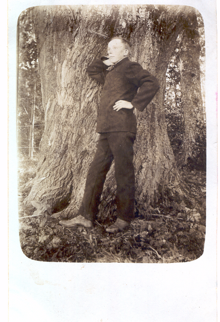 Foto August Plaks  Tartus Ropka pargis hiigel halapuu all 1913.a.