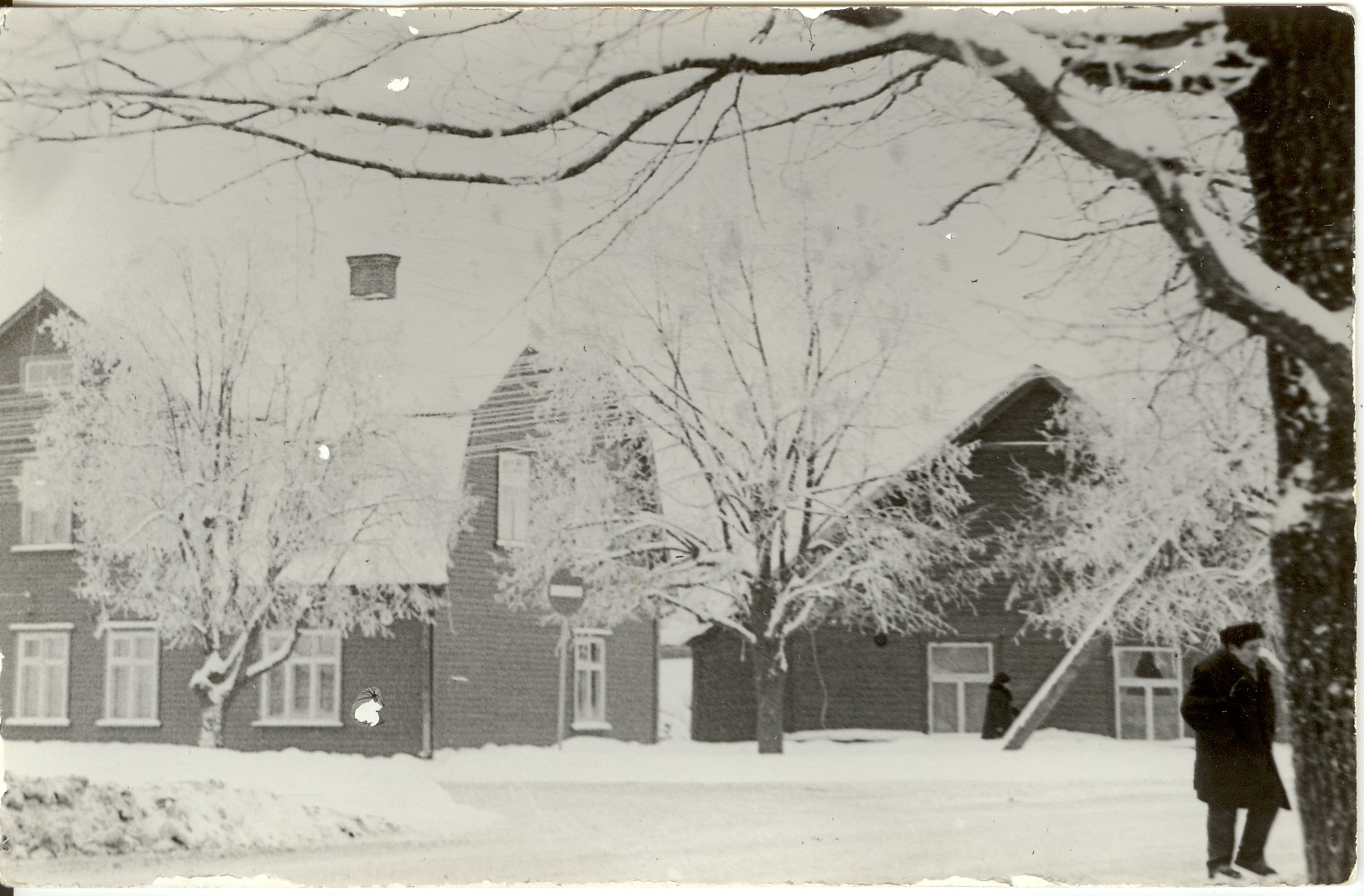 foto,  Pärnu tn. Paides 1960-ndatel a.