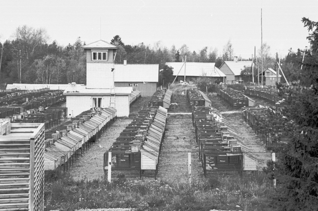 Hiiumaa. "Rahu eest" kolhoosi rebasefarm. Üldvaade.