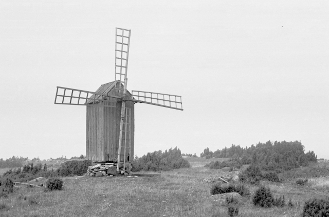 Hiiumaa maastik. Tuuleveski.