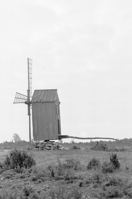 Hiiumaa maastik. Tuuleveski.