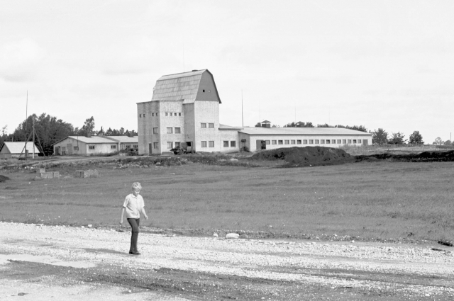 Hiiumaa. "Sõpruse" kolhoosi sigala.