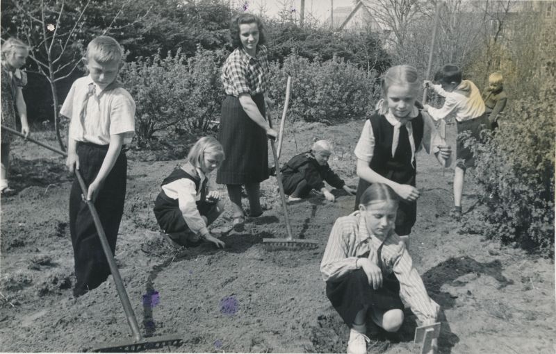 Foto. Kärdla keskkooli kolmanda klassi pioneerid oma õpetaja H.Rauki juhtimisel aias töötamas. 1953. Foto V. Gorbunov.