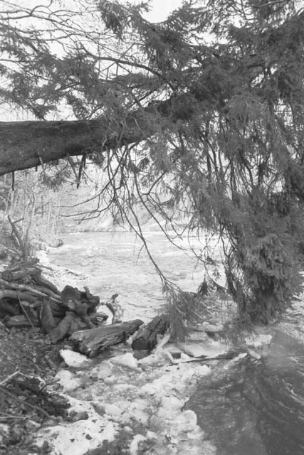 Jääminek Keila-Joal.