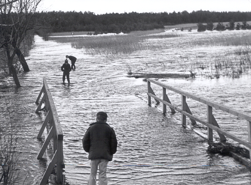 Foto. Paralepa jalakäijate sild vee all pärast 1981. a. novembritormi.
