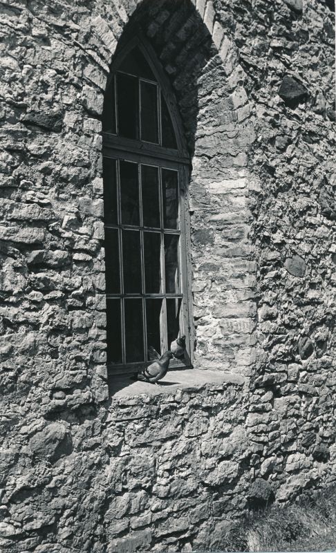 Foto. Haapsalu toomkiriku käärkambri aken. 1980. a. Mustvalge.