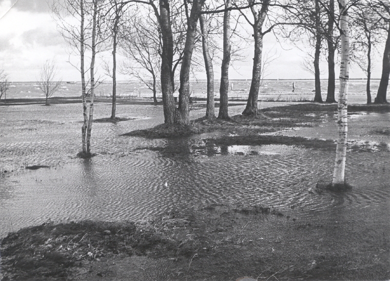 Foto. Aafrika rand pärast 1981. a. novembritormi.