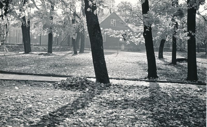Foto. Tobiase park sügisel. 1980. a. Mustvalge.