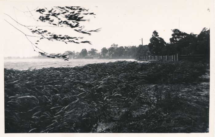 Foto. Vaade Haapsalu Väiksele Viigile ja selle ääres olevatele majadele tormi ja suurvee ajal. 6. aug. 1967. Fotogr. R. Kalk.
