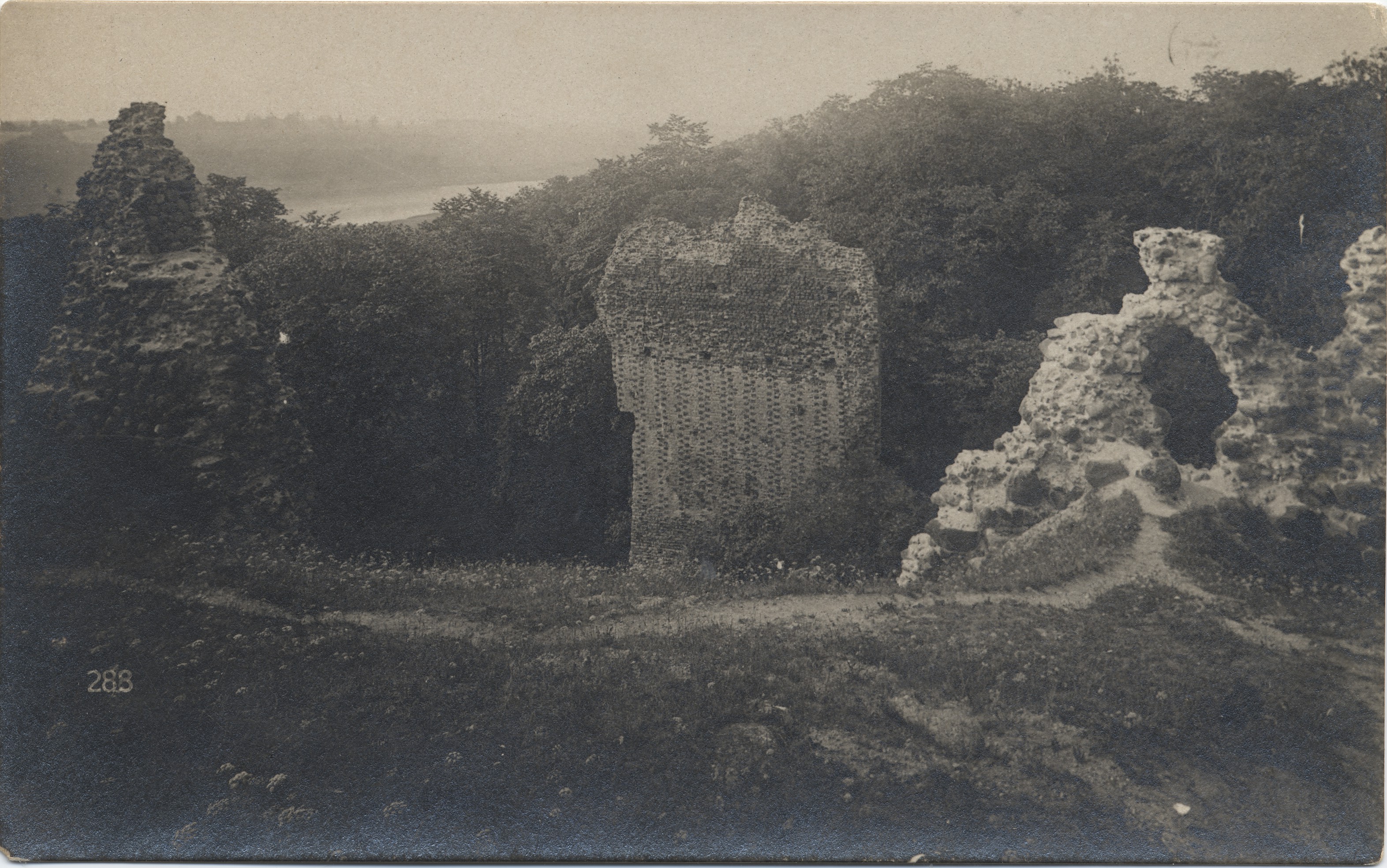 [viljandi castle roofs]