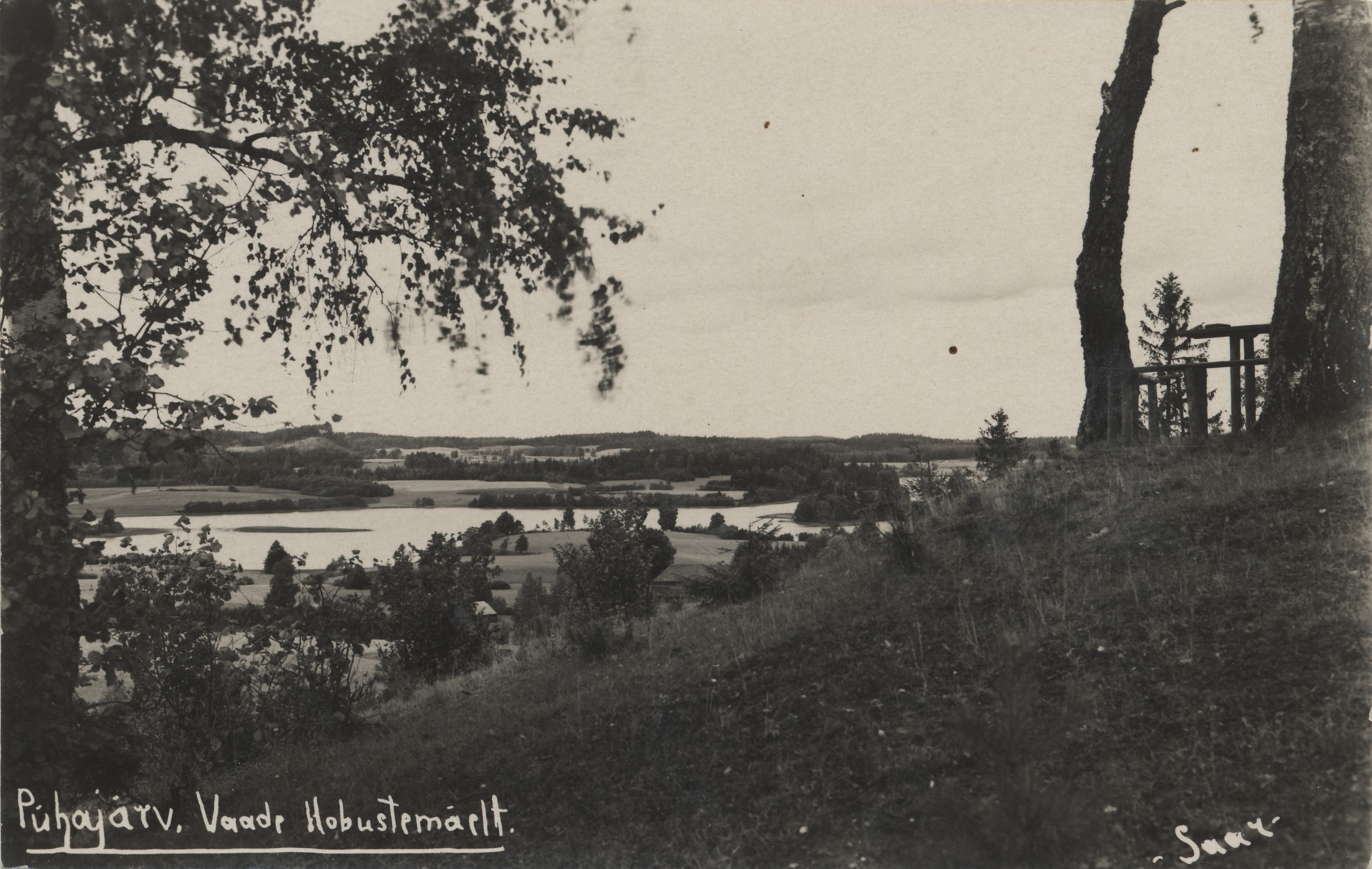 Pühajärv : view from Hobustemägi