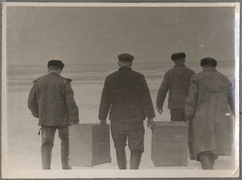 Haapsalu Kalakaitse Inspektsiooni tööst. Neli meest kandmas kaste merejääl.