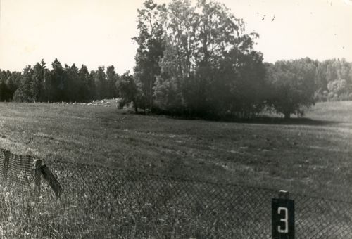 Karjamaa Puka sovhoosis 1978 aastal