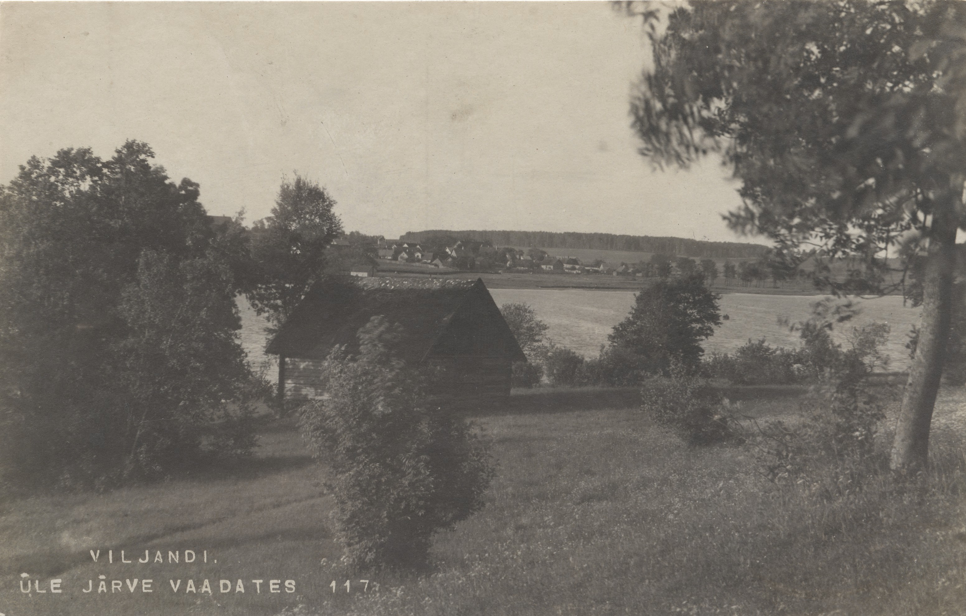 Viewing Viljandi over the lake