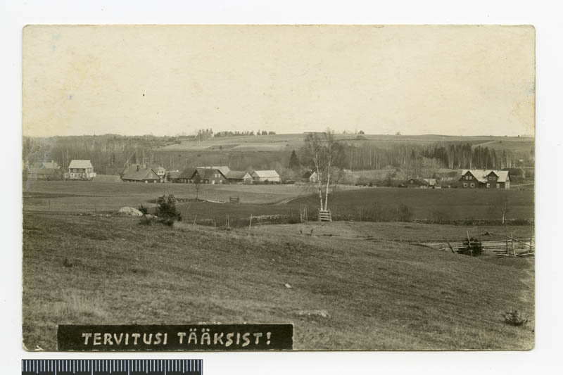fotopostkaart, Suure-Jaani khk, Tääksi küla, üldvaade, seltsimaja, 1928 sügis, foto Oskar Kivisild