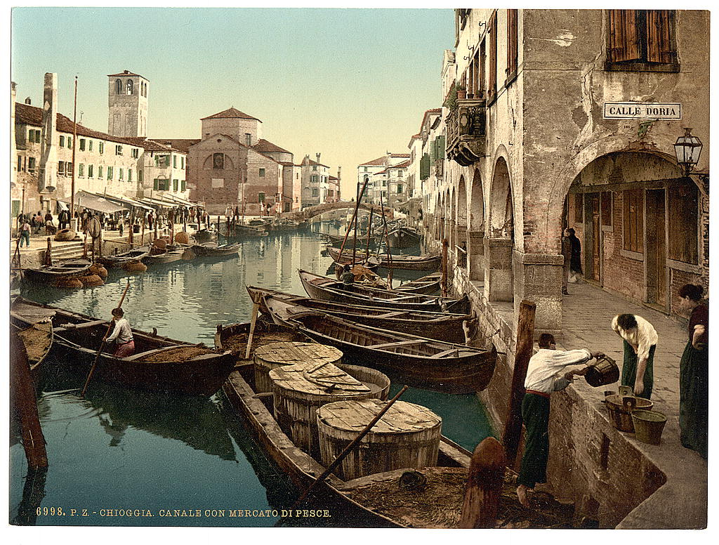 [chioggia, fish market, Venice, Italy] (Loc)