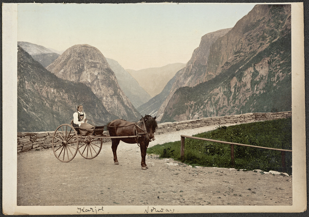 7046. P. z. Norwegian Carriole