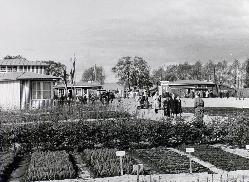 Eesti NSV Vabariiklik Põllumajandusnäitus Tallinnas 1957.a.