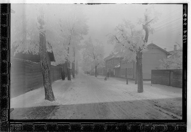 Kastani tänav Riia mnt lähedal, Tartu, 1924. a