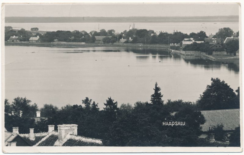 Fotopostkaart. Vaade Viigile. 1929.