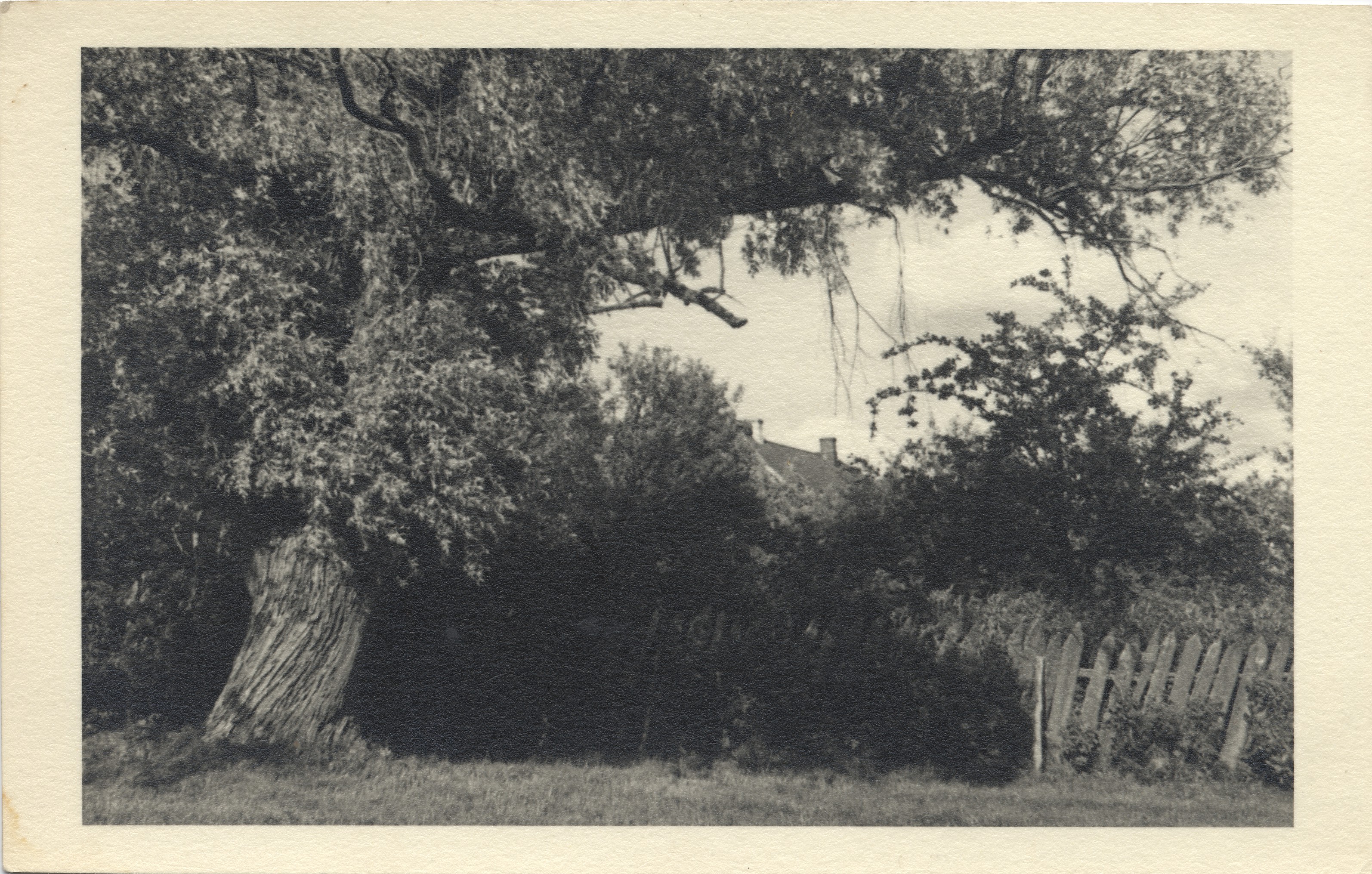 Estonian Farm in Mulgimaa : Ein estnischer Farm /