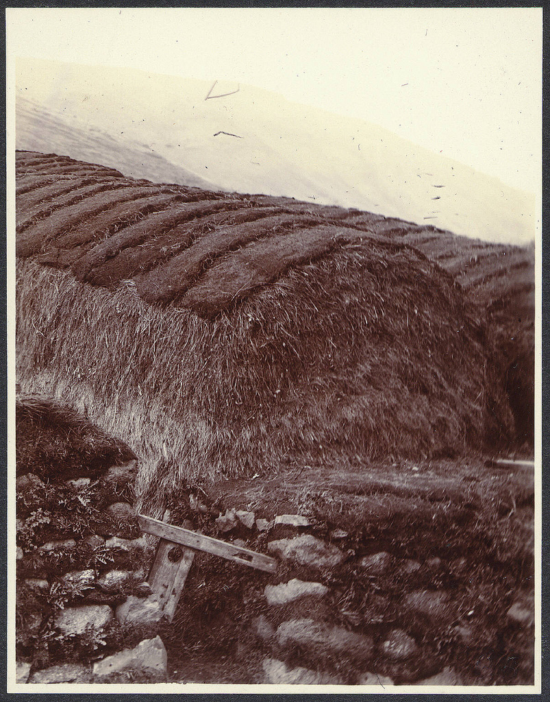 Haystacks roofed with sods. Laugarvatn.
