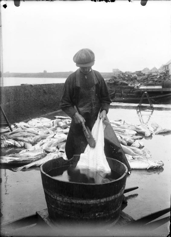 Saltfiskvinnsla, 1915
