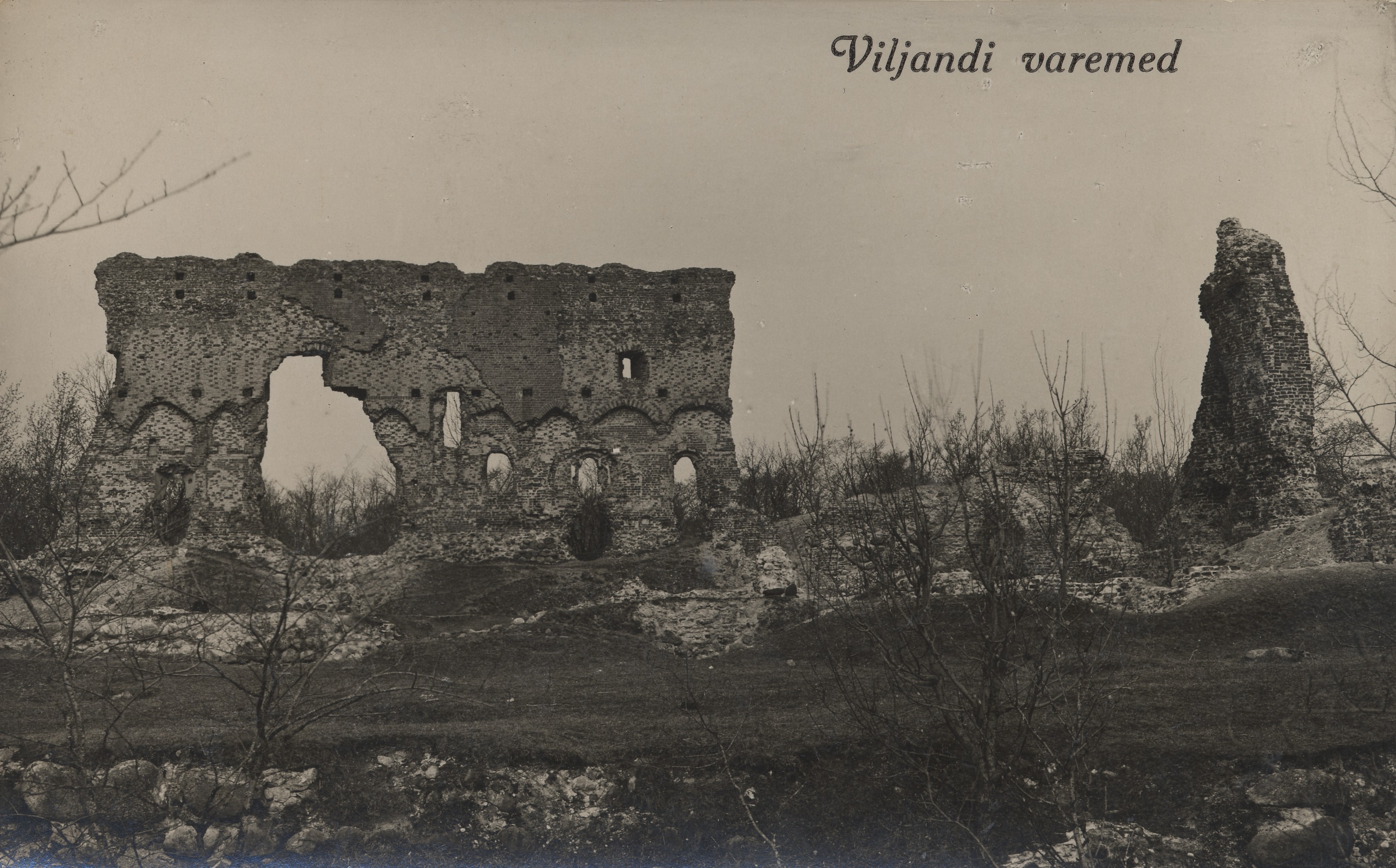 Ruins of Viljandi