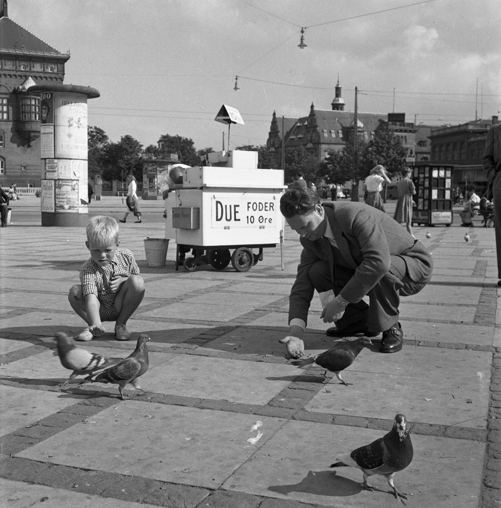 Feading pigeons in Copenhagen 1949