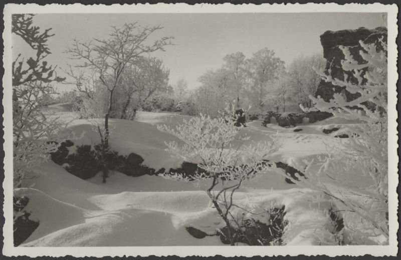 fotopostkaart, Viljandi, Kaevumägi, II Kirsimäe poolt, talv, u 1930, foto A. Kivilo