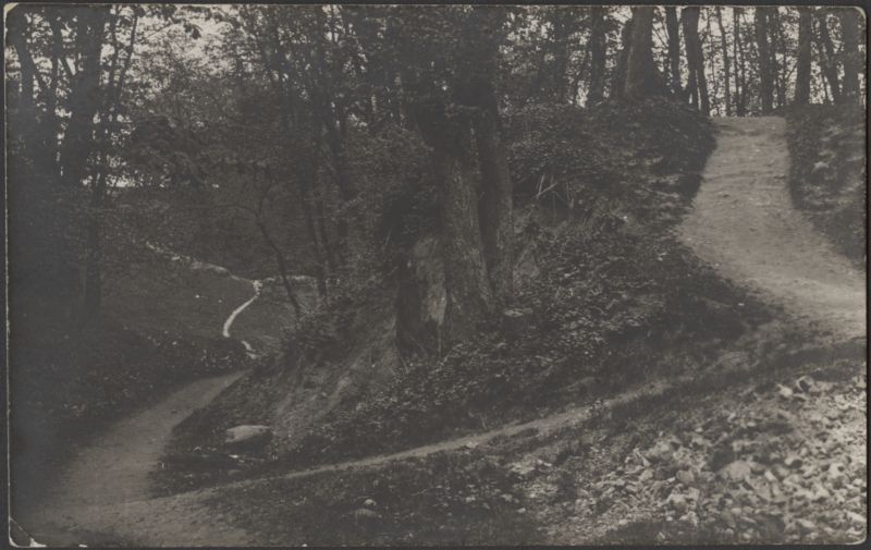 fotopostkaart, Viljandi, lossimäed, Suurorg, Kitsasmägi?, u 1925, foto A. Järvekülg
