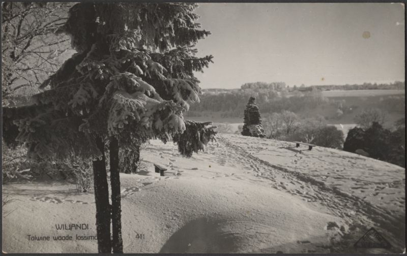 fotopostkaart, Viljandi, Kaevumägi, järvepoolne osa, talv, u 1925, foto J. Riet