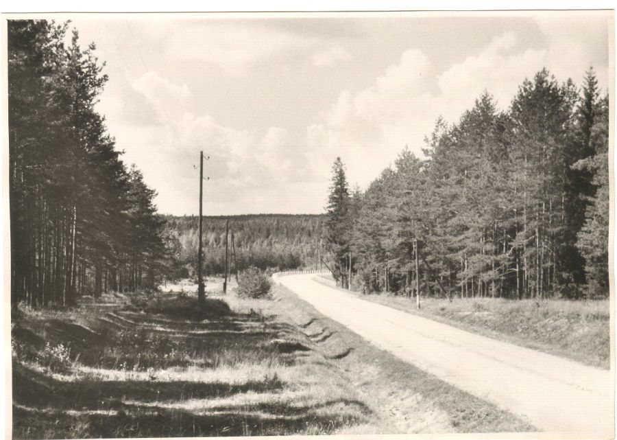 Vaade metsasele Väike-Emajõe orundile Puka-Tõrva maantee kohal