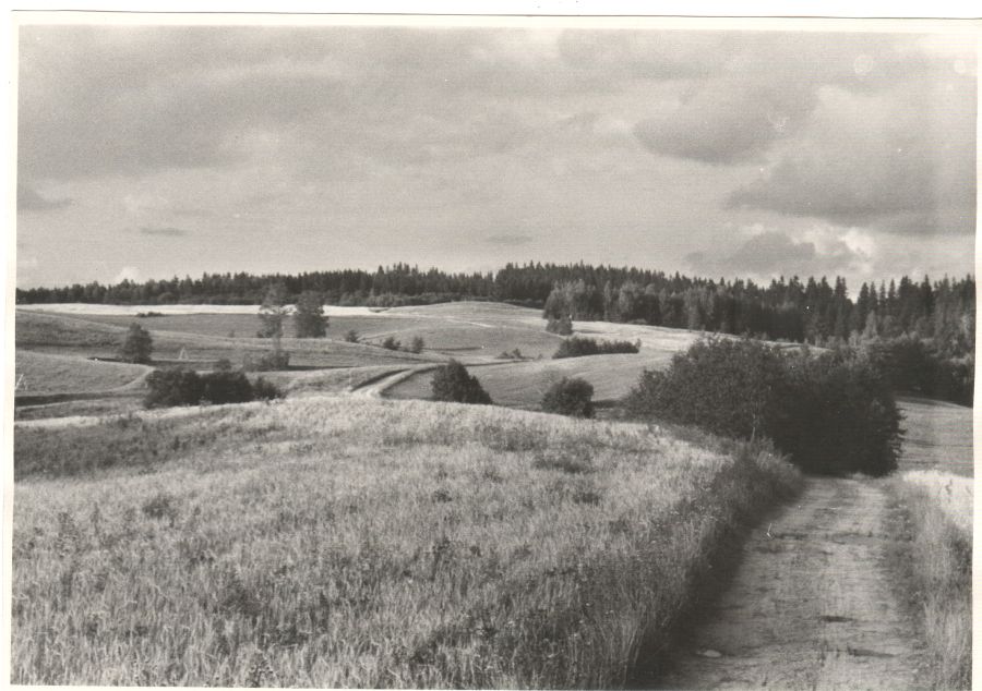 Vaade Harimäele lõuna poolt