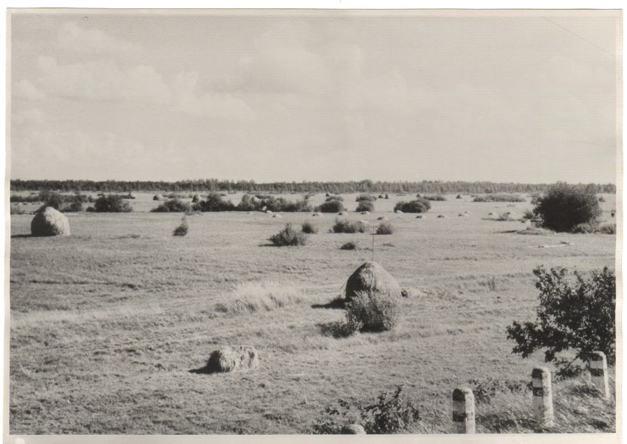 Emajõe luht Rannu-Jõesuus