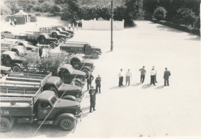 Foto. Masinapark Haapsalu raj. lauljate transpordiks Tallinna XV Üldlaulupeole. 17.07.1960. Fotogr. R. Kalk.