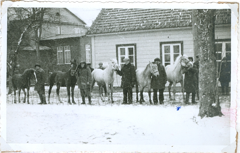 Foto. Lääne maakonna noorhobuste ülevaatusel; märgitud on I koha võitja. Seotud Mannide suguvõsaga. Asub HM 8800:3