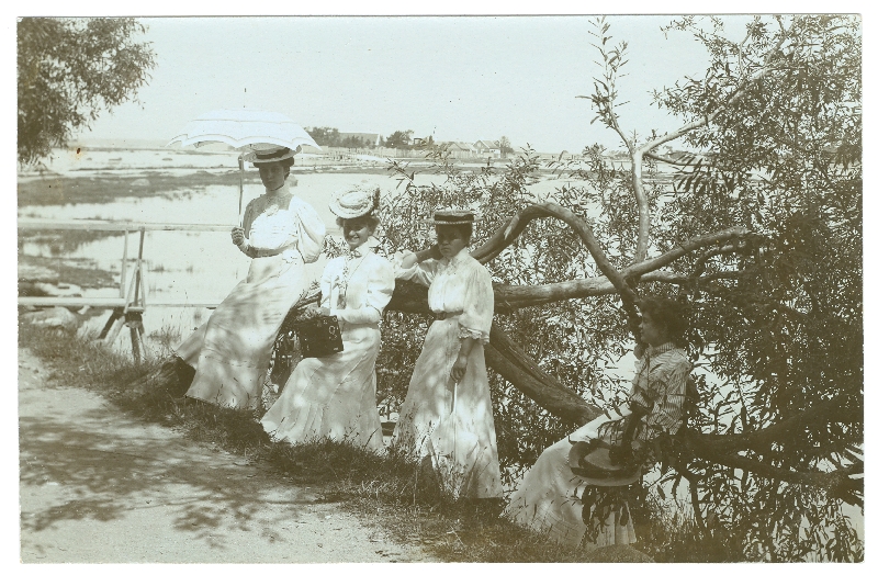 Foto. Neli daami Haapsalus Vaiksel kaldal toetumas puule. u 1910.  O. Siluti kogu. Albumis.