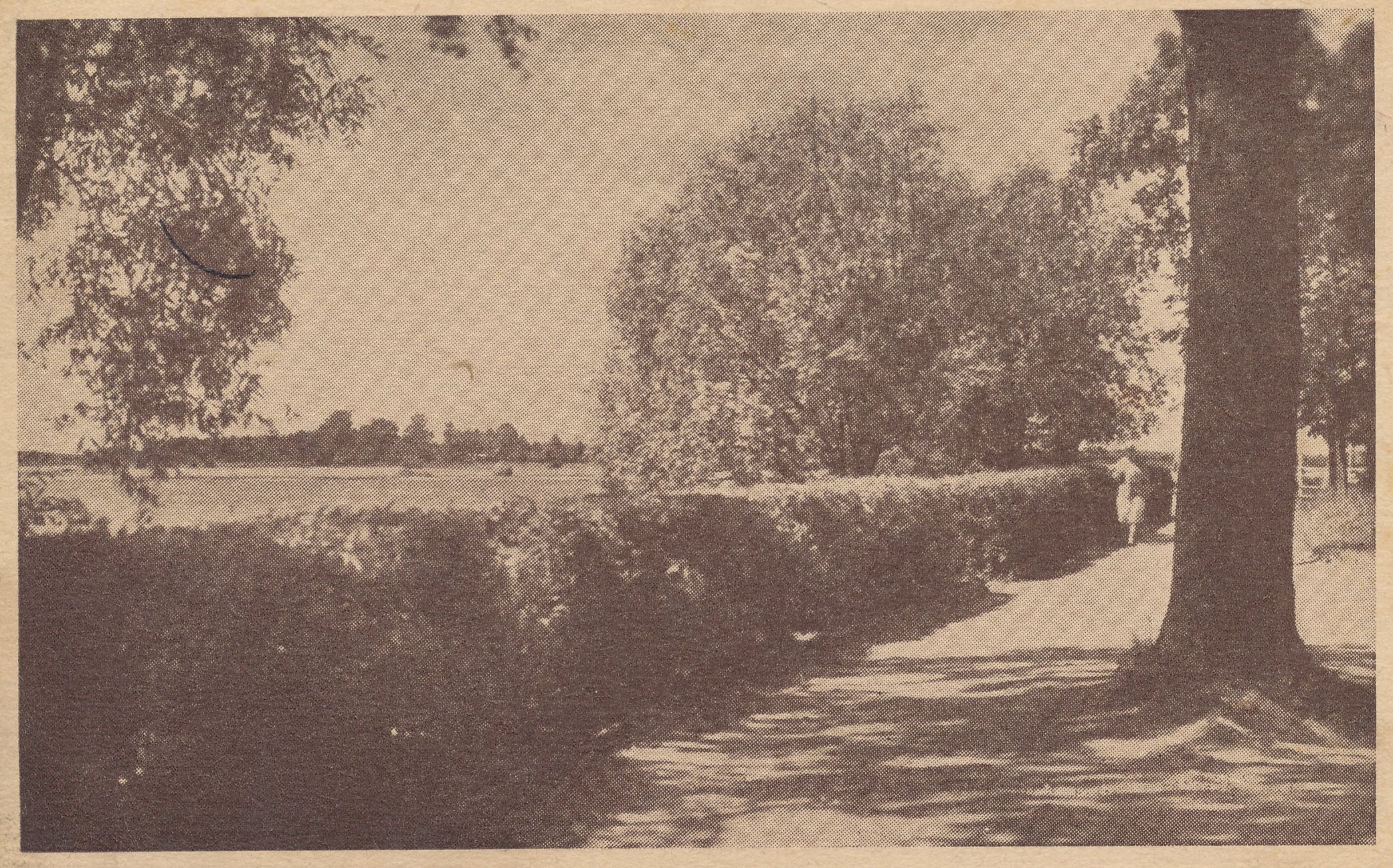 Trükipostkaart. Võru linnapark  Tamula kaldal 1940.aastatel.