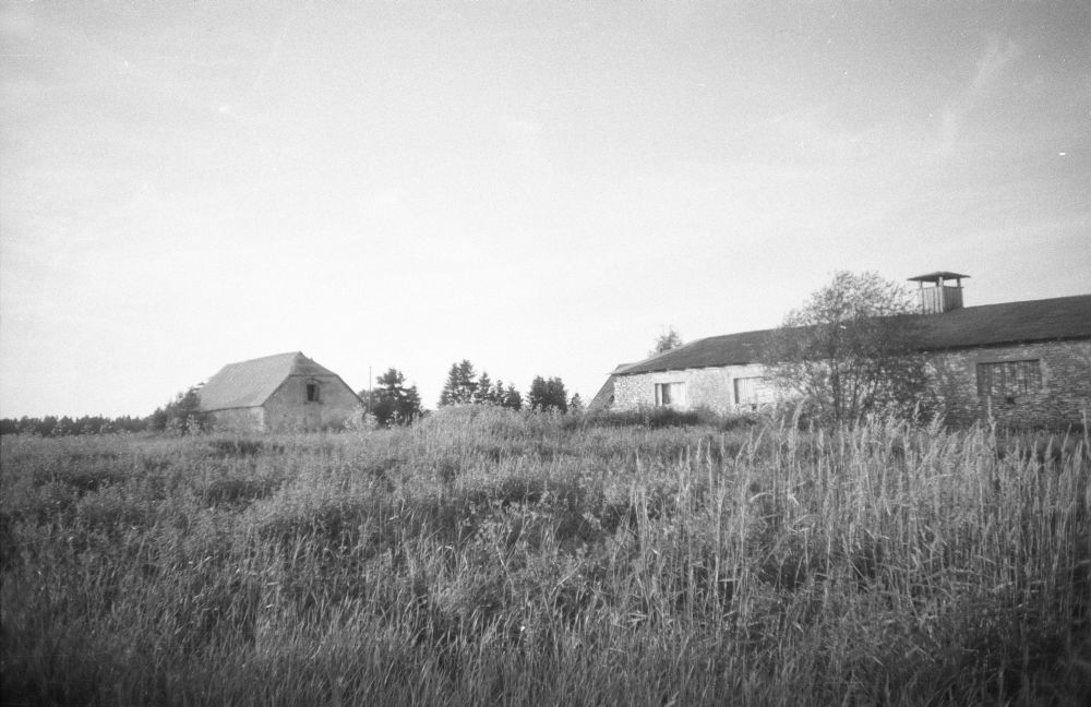 Kohatu mõisa laudad